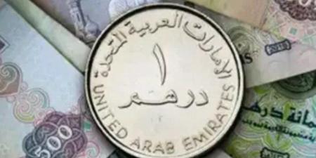 سعر الدرهم الإماراتي في مصر اليوم.. الثلاثاء 18 نوفمبر 2025 - المصدر 7