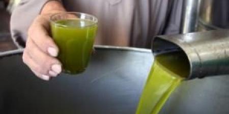 مع تأخر الإقبال على المحلي لارتفاع "سعره" .. الزراعة تتوقع وصول الزيت المستورد خلال "شهر" - المصدر 7