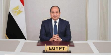 نص كلمة الرئيس السيسي خلال وضع هيكل الاحتواء لمفاعل محطة الضبعة النووية - المصدر 7