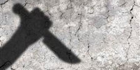 صرخات بلا مجيب.. قصة الطفلة «ملك» التي ماتت تبحث عن رحمة - المصدر 7