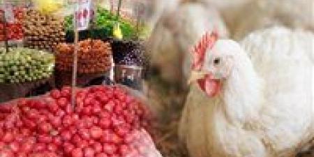 أسعار الدواجن والخضار والذهب.. تذبذبات يومية تختبر قدرة السوق على الاحتمال - المصدر 7