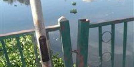 كان رايح الحضانه.. مصرع طفل سقط من على كوبرى عزبة حمد بالمحلة - المصدر 7