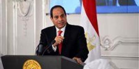 الرئيس السيسي يشيد بمشاركة نظيره الروسي في مراسم وضع هيكل احتواء مفاعل الضبعة النووي - المصدر 7