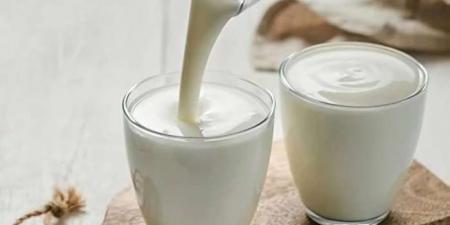 خبير يوضح فوائد لبن الكفير ودوره في تعزيز البكتيريا النافعة وتحسين صحة الأمعاء - المصدر 7