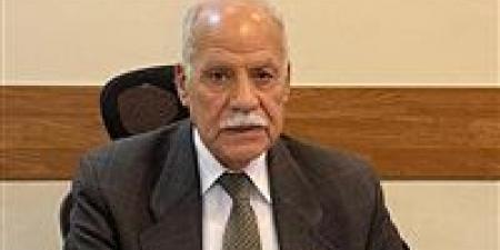 الحزب العربي الناصري: رسائل الرئيس السيسي تؤكد استمرار الدولة على نهج القوة والعدل وحماية مصالح الشعب - المصدر 7