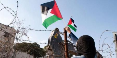 قرار مجلس الأمن(2803) : بينَ تثبيت الواقِع وتغييب الدّولة الفلسطينيّة #عاجل - المصدر 7