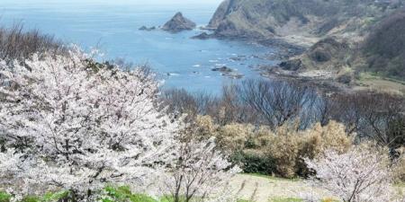 رحلة بين القارات: اكتشف كوكبنا من منظور المسافر الفضولي - المصدر 7