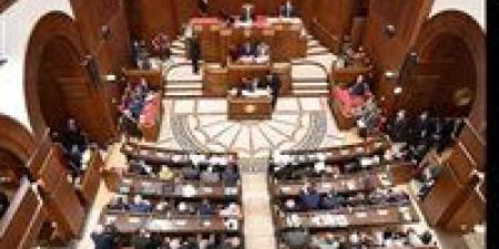 برلماني: احتفال الضبعة يؤكد أن مصر تُدشّن عصراً جديداً للطاقة ويُجسّد صلابة الشراكة مع روسيا - المصدر 7