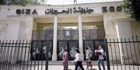 موعد إعادة افتتاح حديقة الحيوان بالجيزة 2025 بعد التطوير - المصدر 7