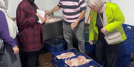 ضبط 5.4 طن دجاج وشاورما فاسدة خلال حملة تفتيشية في أجا - المصدر 7