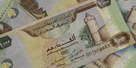 سعر الدرهم الإماراتي مقابل الجنيه المصري اليوم الخميس 20 نوفمبر 2025 - المصدر 7