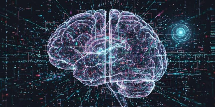 ابتكار علمي جديد.. الذكاء الاصطناعي يرسم أدق خريطة ثلاثية الأبعاد للدماغ البشري - المصدر 7