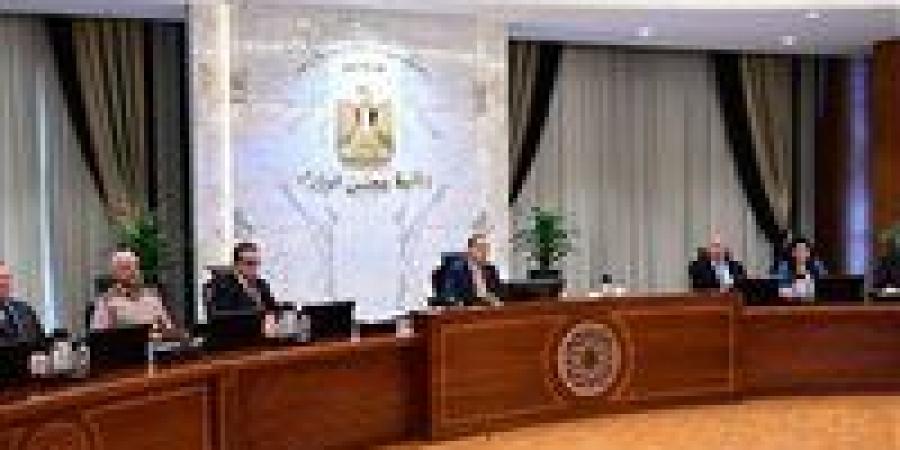 الوزراء: إجمالي الاستثمارات القطرية تقترب من 30 مليار دولار لهذا المشروع علم الروم - المصدر 7