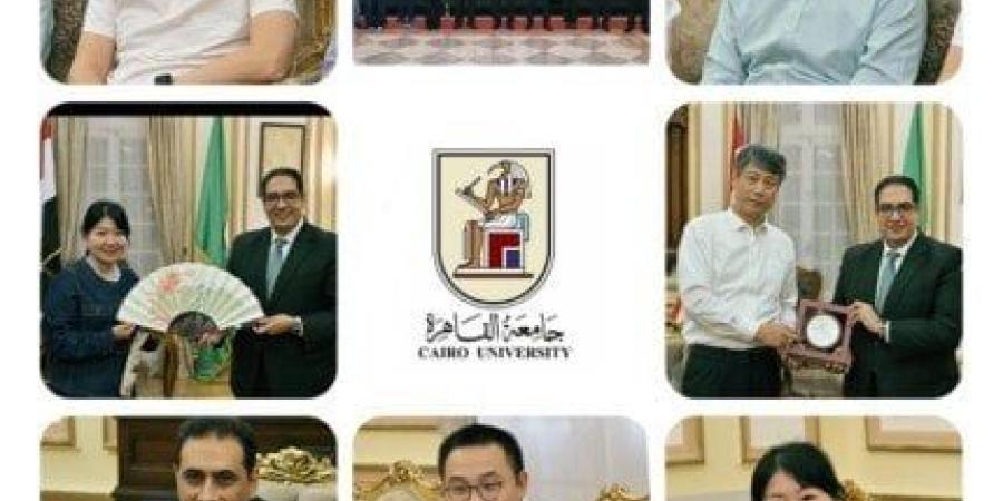 برامج مشتركة بين جامعتي القاهرة ونانجينغ الصينية لتأهيل الكوادر المتخصصة فى تعليم ذوي الهمم - المصدر 7