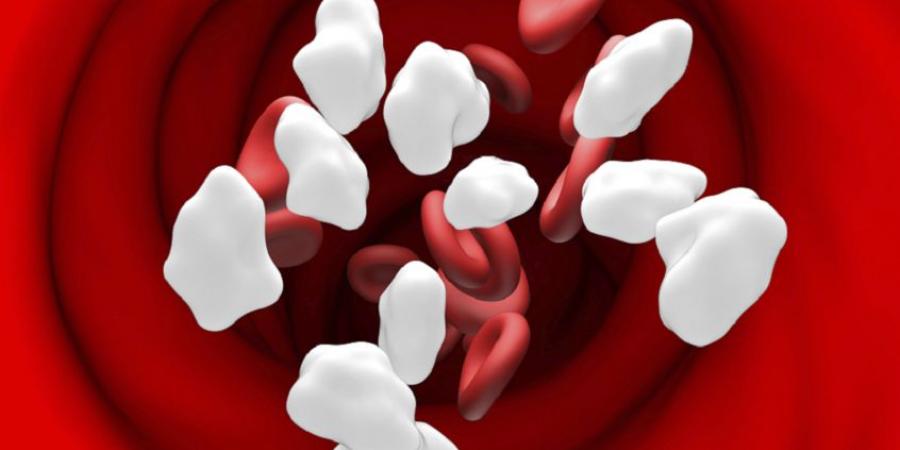 أطعمة يومية "تبدو بريئة" ترفع سكر الدم! - المصدر 7