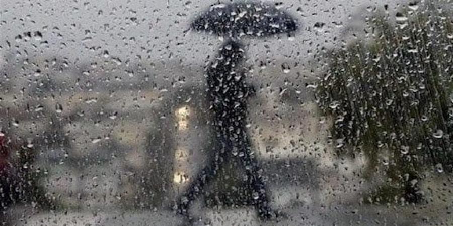 «تحمل علامات الخير».. تفسير رؤيا «المطر» في المنام لابن سيرين - المصدر 7