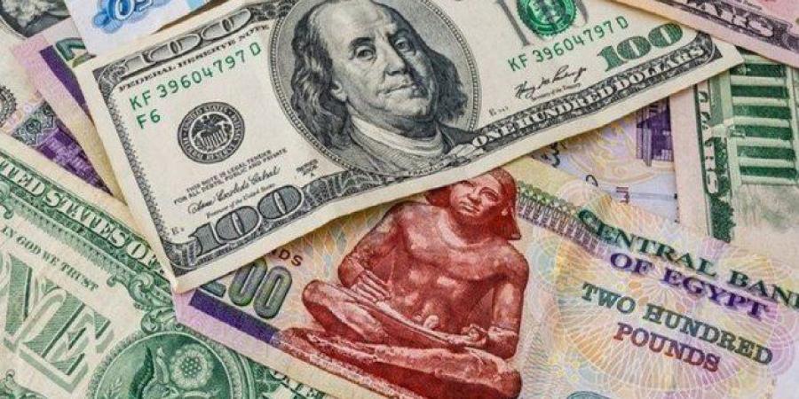 تعرف على سعر الدولار في مصر مقابل الجنيه اليوم الثلاثاء 11-11-2025 - المصدر 7