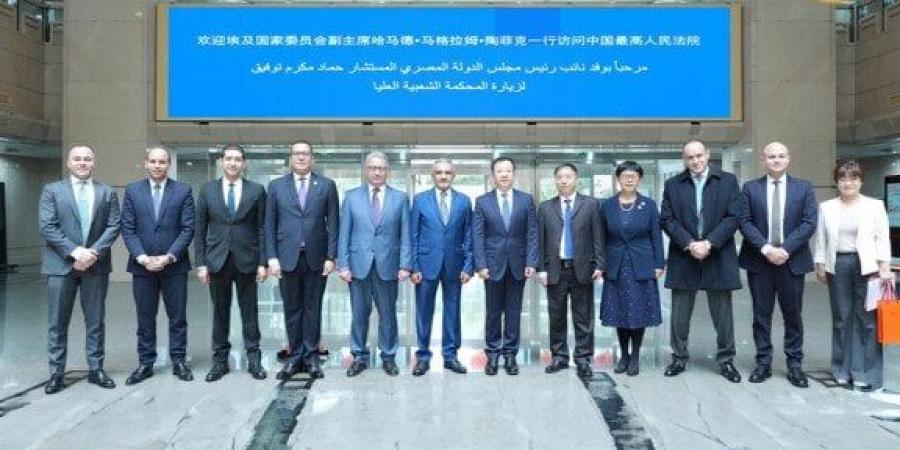 مجلس الدولة يعزز التعاون القضائي والتكنولوجي مع جمهورية الصين الشعبية - المصدر 7