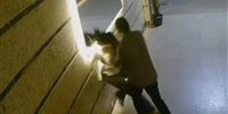 أبويا ومش هخسره.. القصة الكاملة لـ واقعة فتاة جسر السويس - المصدر 7