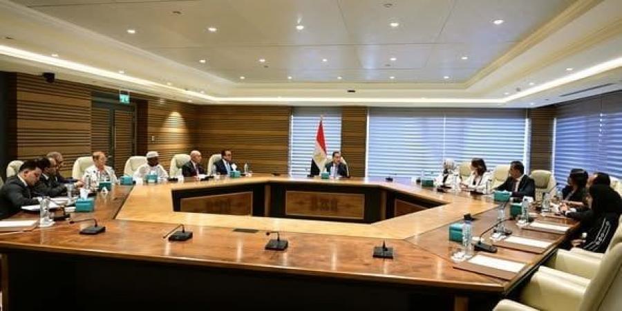 مدبولي يلتقي وزراء الصحة والتعليم ببعض الدول المشاركة في مؤتمر العالمي للسكان والصحة والتنمية البشرية - المصدر 7