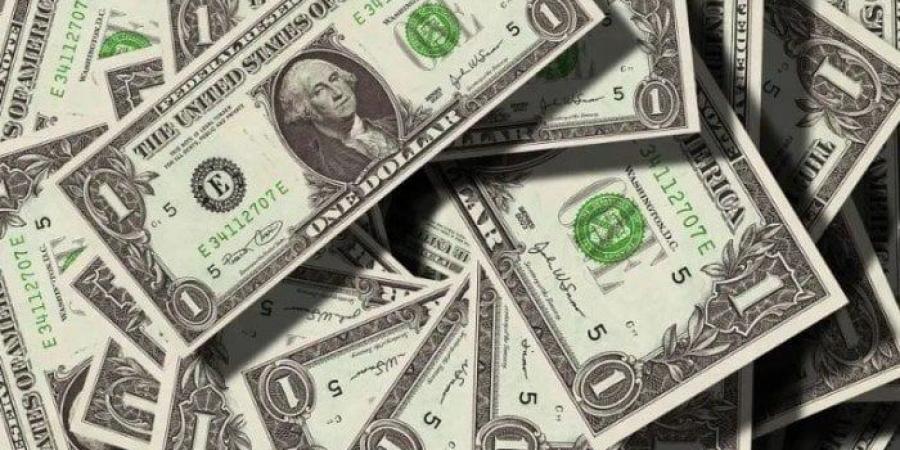 الدولار يتراجع مع ضعف سوق العمل الأمريكي وترقب إعادة فتح الحكومة - المصدر 7