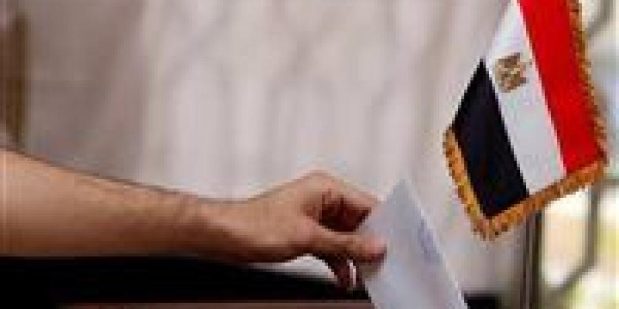 حصر عددي.. إعادة منتظرة على مقعدي دائرة إطسا بمحافظة الفيوم - المصدر 7