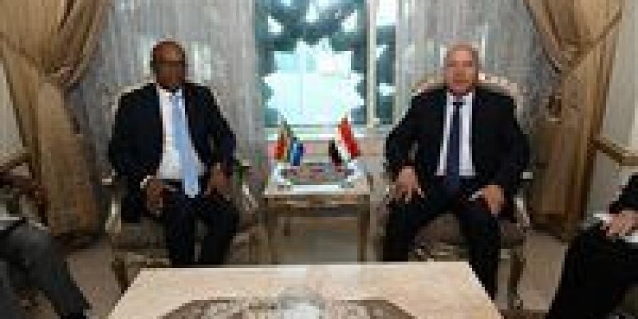 لقاء موسع بين وزيرا الصناعة المصري والجنوب أفريقي.. تفاصيل مهمة - المصدر 7