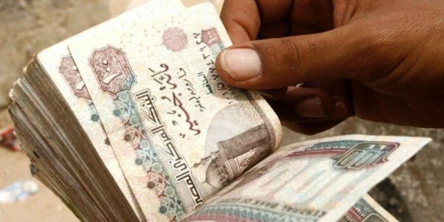 قبل قرار «المركزي» حول الفائدة.. شهادات الادخار بعائد ثابت ومتغير في 3 بنوك - المصدر 7