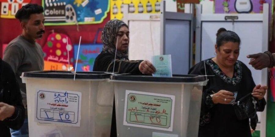 نتائج الحصر العددي النهائية: ثلاثي التحالف الوطني يتصدر أصوات الدائرة الثانية «سمالوط ومطاي» - المصدر 7