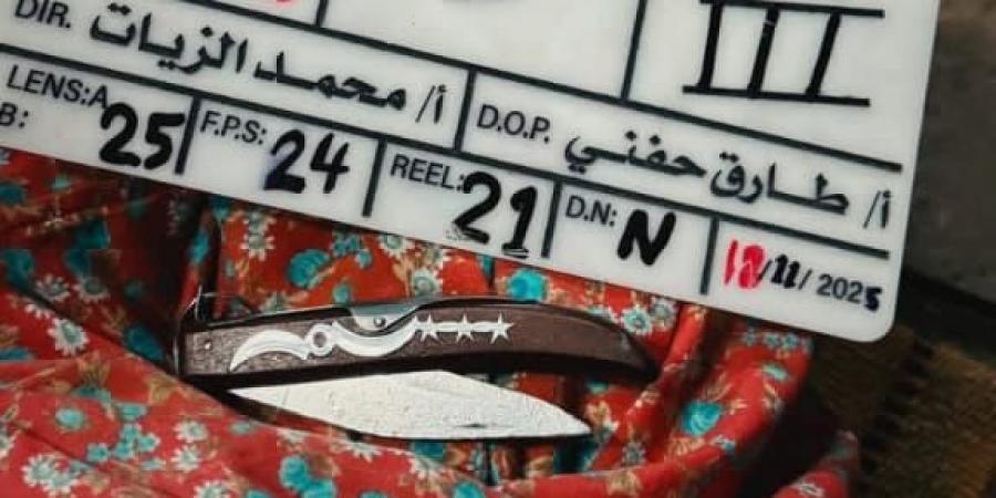 بطولة طه دسوقي.. جيهان الشماشرجي تبدأ تصوير مشاهدها في فيلم عشان خاطر جليلة - المصدر 7