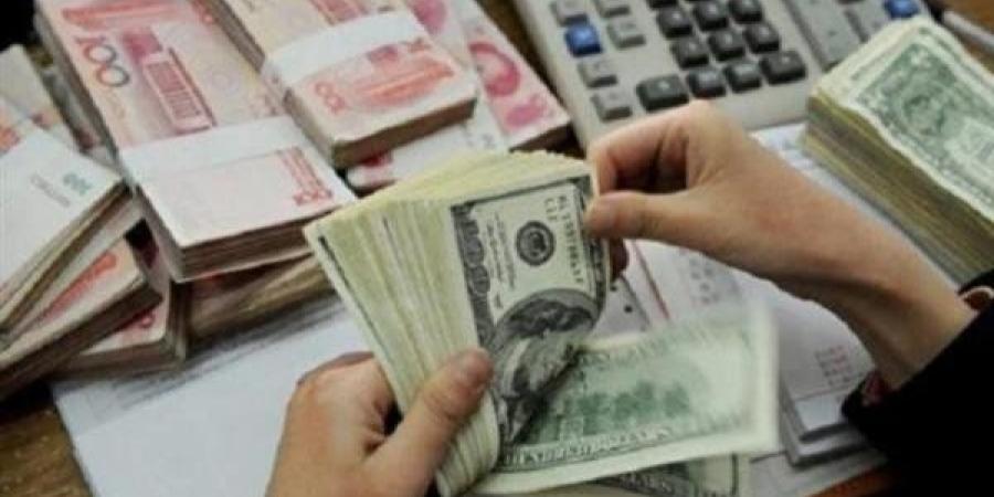 الداخلية المصرية تكثّف حملاتها.. ضبط تجار عملة ومضاربين خارج السوق المصرفي - المصدر 7