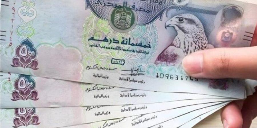 سعر الدرهم الإماراتي مقابل الجنيه اليوم الجمعة 14 نوفمبر 2025 - المصدر 7
