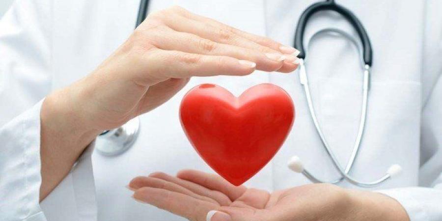 كيف تختار نظامك الغذائي لحماية قلبك؟ توصيات غذائية لضمان صحة أفضل - المصدر 7