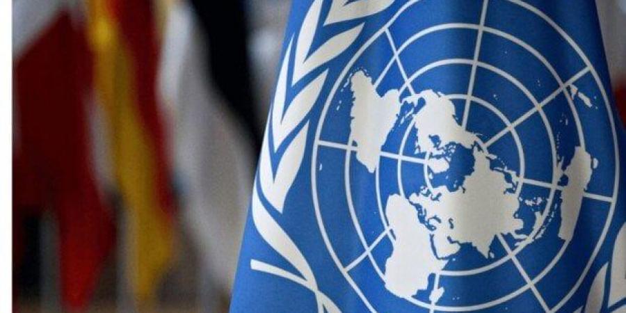 البعثة الأممية لتقصي الحقائق تطالب بوقف الحرب وحماية المدنيين في الفاشر غرب السودان - المصدر 7