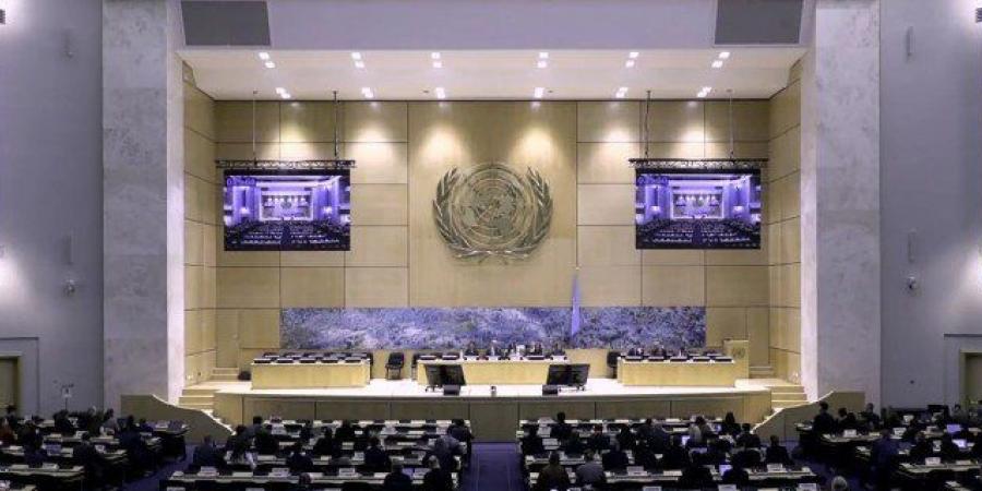 "مجلس حقوق الإنسان" يدعو لاحترام وحدة السودان ويدين التدخل الخارجي الذي يؤجج الصراع - المصدر 7