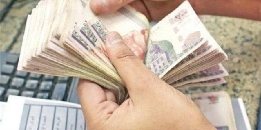 موعد صرف مرتبات شهر نوفمبر 2025 لـ العاملين في الدولة - المصدر 7