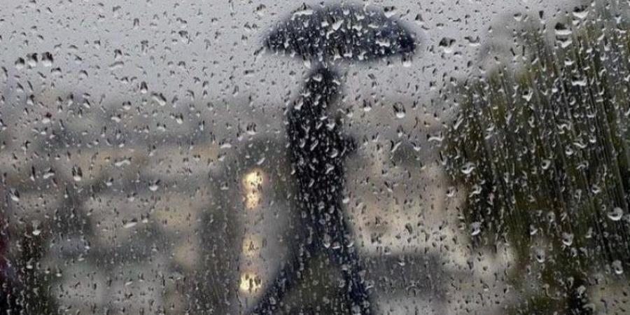 الأرصاد الجوية: حالة من عدم الاستقرار الجوي وأمطار غزيرة متوقعة الأيام المقبلة - المصدر 7