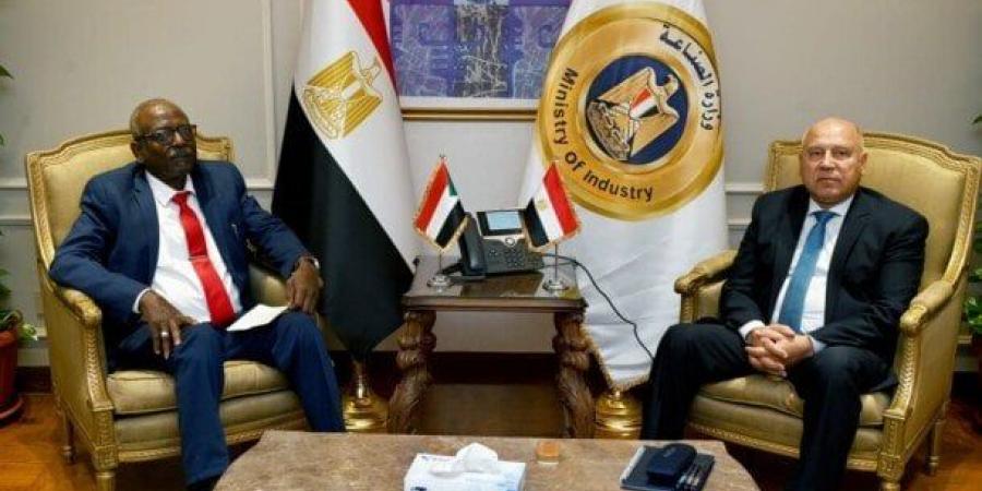 كامل الوزير يؤكد حرص الدولة المصرية على دعم جهود التنمية والبنية التحتية في السودان - المصدر 7