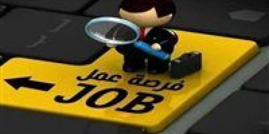 تفاصيل التقديم لشغل 580 وظيفة بمرتبات تصل إلى 10 آلاف جنيه - المصدر 7