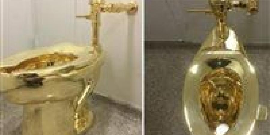 مرحاض أمريكي ذهبي في المزاد والسعر مفاجأة - المصدر 7