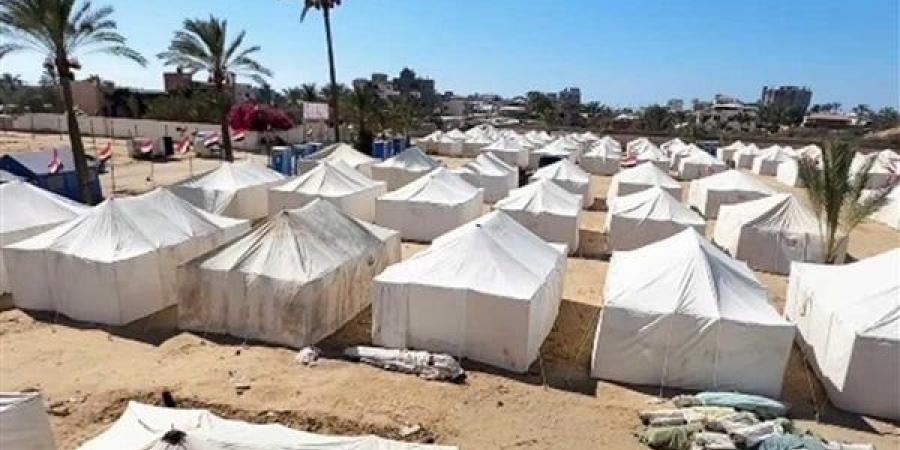 اللجنة المصرية بغزة: استجابة فورية لدعم مخيمات النزوح مع دخول الشتاء - المصدر 7