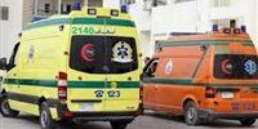 إصابة 15 شخصا في حادث انقلاب ميكروباص على صحراوي المنيا الغربي - المصدر 7