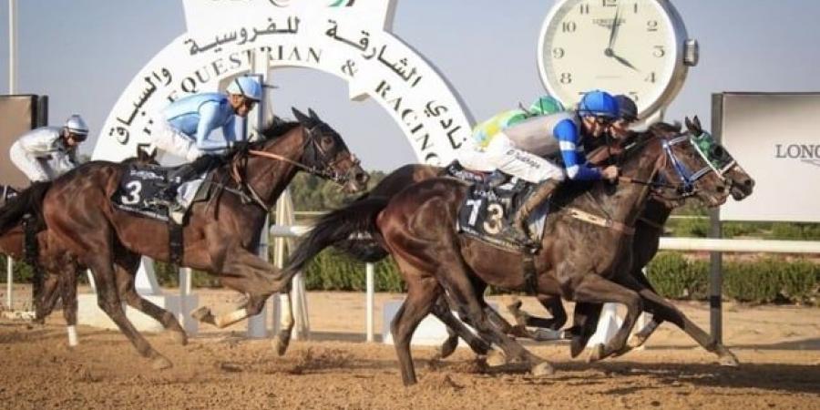 موسم سباقات مضمار الشارقة ينطلق غدا - المصدر 7