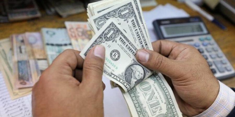 سعر الدولار مقابل الجنيه المصري اليوم السبت 15 نوفمبر 2025 - المصدر 7