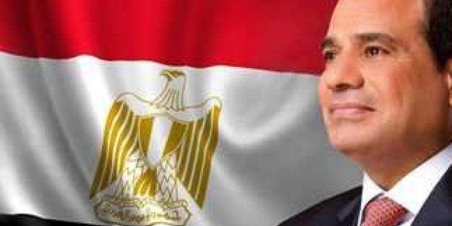 الرئيس السيسى يعلن إطلاق النسخة الخامسة لأسبوع الاتحاد الأفريقى للتوعية بإعادة الإعمار - المصدر 7