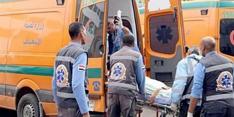 مقتل ميكانيكي على يد زوجته أمام أطفاله الثلاثة بمنطقة أبو يوسف بالإسكندرية - المصدر 7