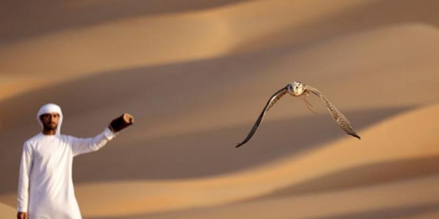 الصقر في الإمارات: رمز الوطن وطائره المدلل - المصدر 7