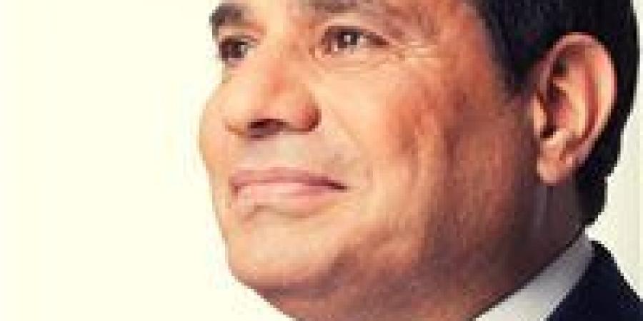 الرئيس السيسي: الدولة ستوفر جميع التسهيلات اللازمة لزيادة استثمارات الشركات - المصدر 7