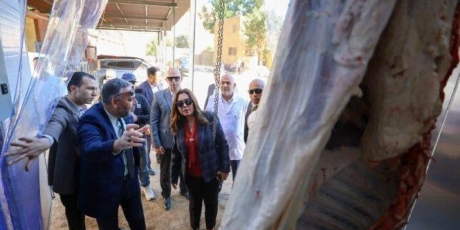 التنمية المحلية: إنشاء أول مجزر متنقل يهدف لتوفير خدمة الذبح المنظم بالمناطق النائية - المصدر 7