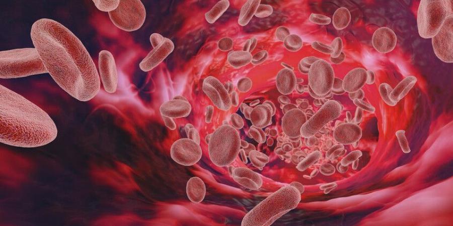 المصابون بـ"كوفيد طويل الأمد" يحملون في دمائهم علامات غريبة! - المصدر 7